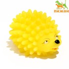 Игрушка пищащая "Ёжик" мини для собак, 5 см, жёлтая - фото 318912270