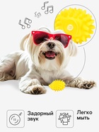 Игрушка пищащая «Ёжик» мини для собак, 5 см, жёлтая - Фото 2