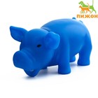 Игрушка хрюкающая "Веселая свинья" для собак, 15 см, синяя - фото 319729020