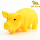 Игрушка хрюкающая "Веселая свинья" для собак, 15 см, жёлтая - фото 10283379