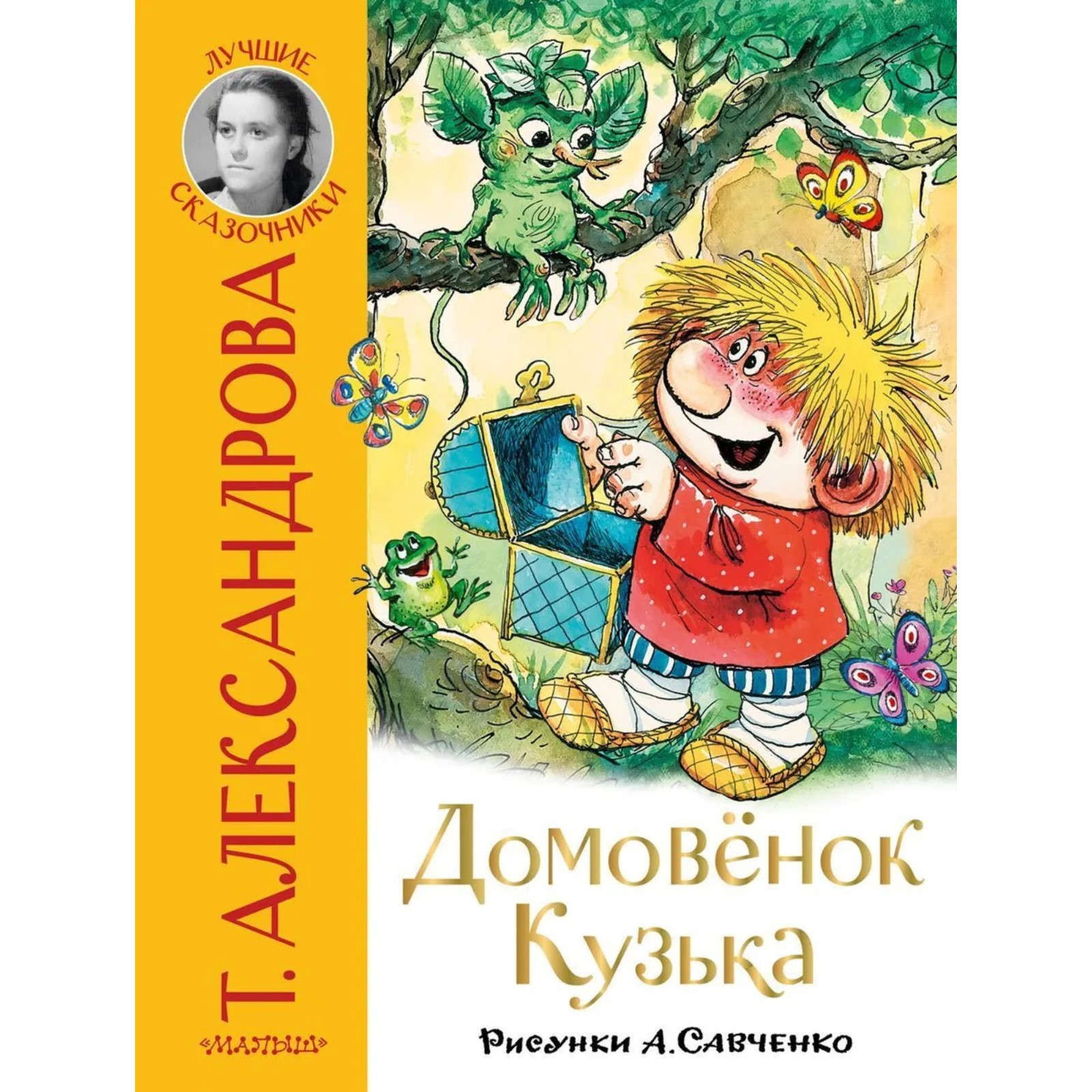 Домовенок Кузька. Александрова Т. И. (9048854) - Купить по цене от 561.00  руб. | Интернет магазин SIMA-LAND.RU