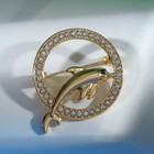 Брошь «Дельфин» в круге, цвет белый в золоте - Фото 1