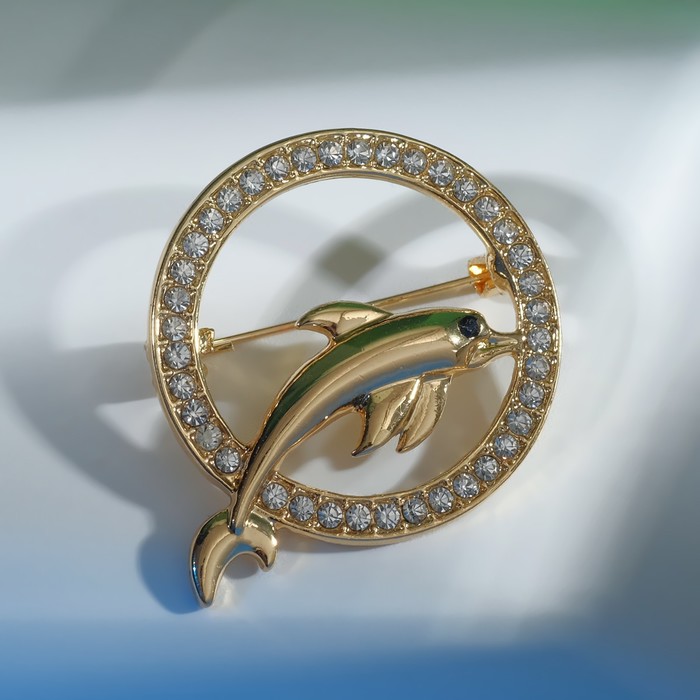 Брошь «Дельфин» в круге, цвет белый в золоте - Фото 1