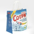Пакет подарочный «Сотри», 22 х 22 х 11 см, Новый год - фото 24241337