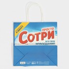 Пакет подарочный «Сотри», 22 х 22 х 11 см, Новый год - фото 24241341