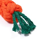 Игрушка канатная "Морковь", до 18 см, до 50 г, оранжевая/зелёная - Фото 3