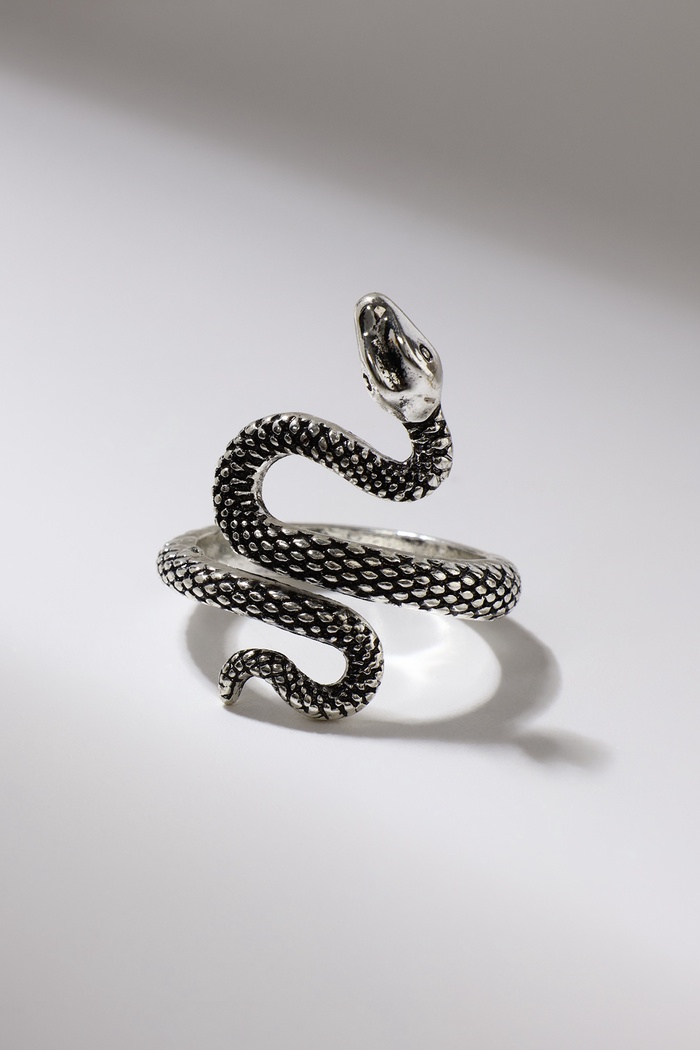 Кольцо «Змея» изогнутая, цвет чернёное серебро, безразмерное - Фото 1