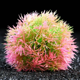 Растение - шар для аквариума, 13 см, розовое