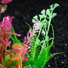 Растение искусственное аквариумное, 12 см - Фото 3