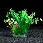 Растение искусственное аквариумное, 12 см - фото 301709331