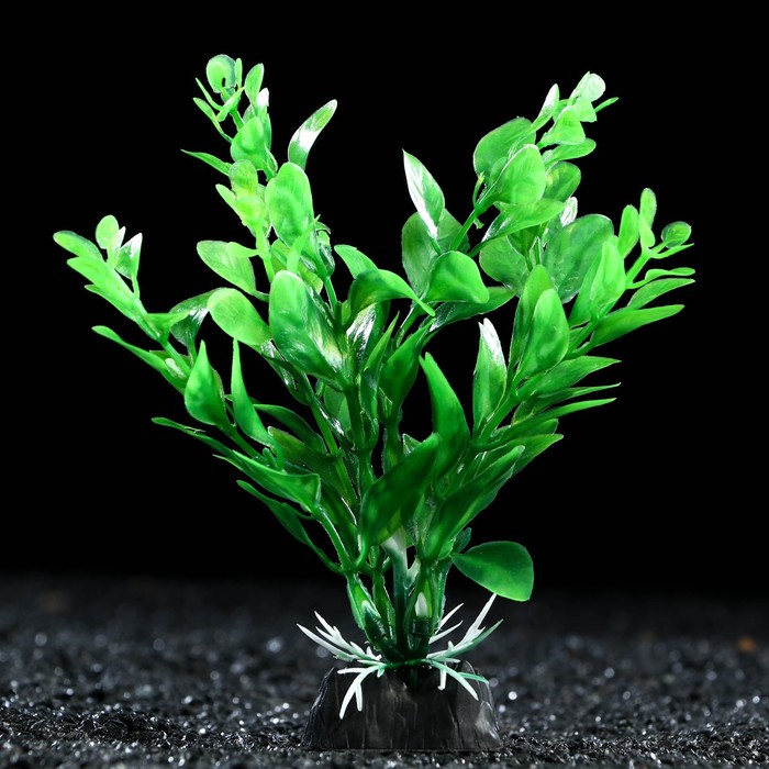 Растение искусственное аквариумное, 3 х 13 см, зелёное - Фото 1