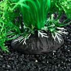Растение искусственное аквариумное, 10 см, зелёное - Фото 3