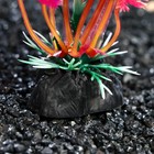 Растение искусственное аквариумное, 3 х 13 см, оранжевое - Фото 3