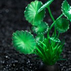 Растение искусственное аквариумное, 10 см, зелёное - Фото 2