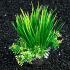 Растение искусственное аквариумное, 10 см, оранжево-зелёное - Фото 2