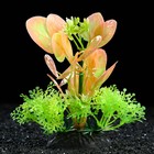 Растение искусственное аквариумное, 10 см, зелёно-розовое - Фото 1