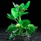 Растение искусственное аквариумное, 10 см, зелёное - фото 318913109