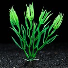 Растение искусственное аквариумное, 10 см, зелёное - фото 292398678
