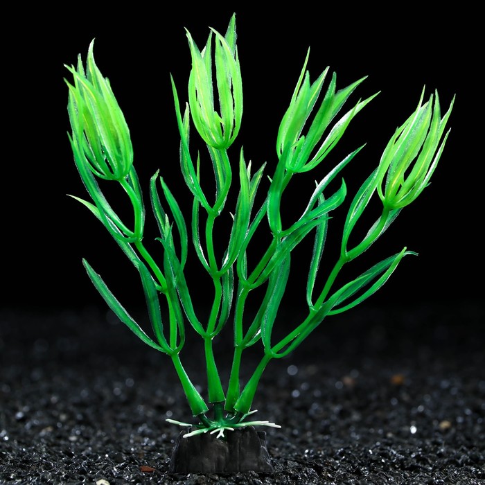 Растение искусственное аквариумное, 10 см, зелёное - Фото 1
