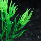 Растение искусственное аквариумное, 10 см, зелёное - Фото 2