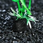 Растение искусственное аквариумное, 10 см, зелёное (комплект 5 шт) - фото 21627011