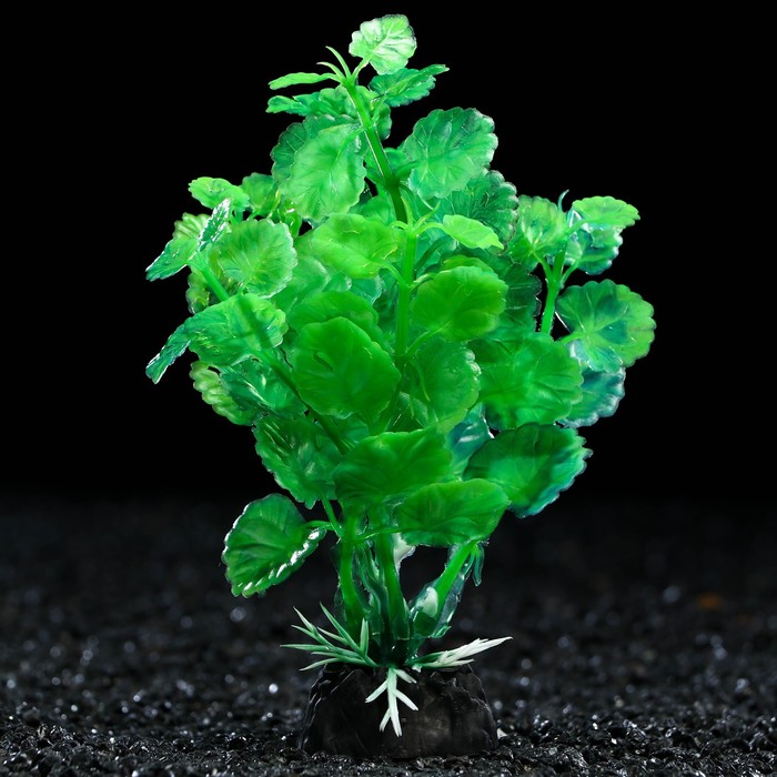 Растение искусственное аквариумное, 3 х 13 см, зелёное - Фото 1