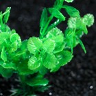 Растение искусственное аквариумное, 3 х 13 см, зелёное - Фото 2