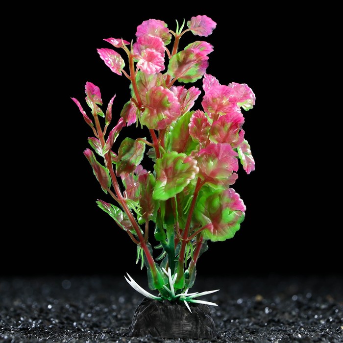 Растение искусственное аквариумное, 3 х 13 см - Фото 1