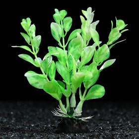 Растение искусственное аквариумное, 10 см, зелёно-белое