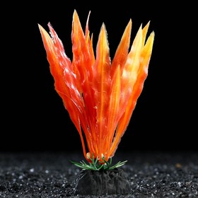 Растение искусственное аквариумное, 3 х 13 см, оранжевое
