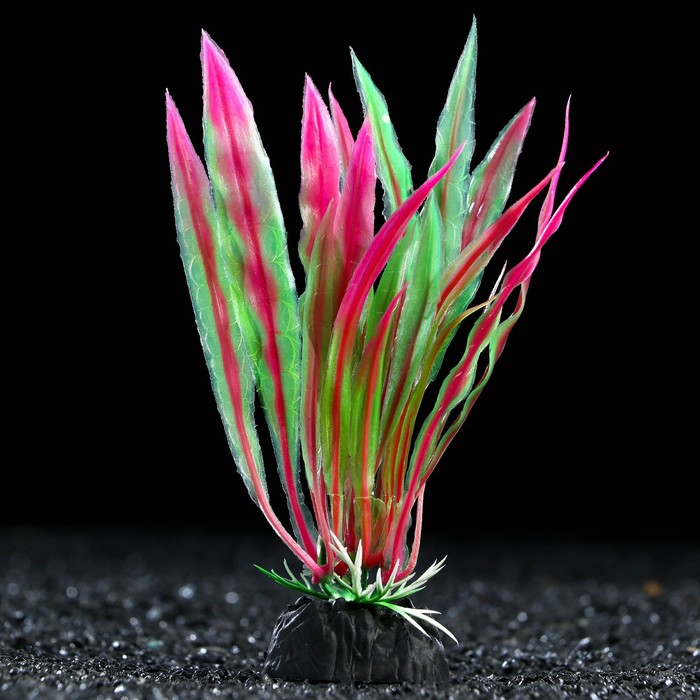 Растение искусственное аквариумное, 3 х 13 см, фиолетовое - Фото 1