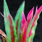 Растение искусственное аквариумное, 3 х 13 см, фиолетовое - Фото 3