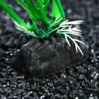 Растение искусственное аквариумное, 4 х 20 см, зелёное (комплект 5 шт) - фото 39916868