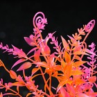 Растение искусственное аквариумное, 6 х 24 см, оранжевое - Фото 2