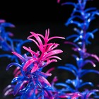 Растение искусственное аквариумное, 4 х 20 см, фиолетовое - Фото 2