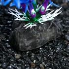 Растение искусственное аквариумное, 4 х 20 см, фиолетовое - Фото 3