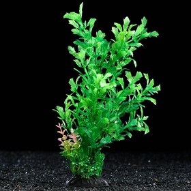 Растение искусственное аквариумное, 6 х 24 см, зелёное