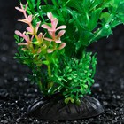 Растение искусственное аквариумное, 6 х 24 см, зелёное (комплект 4 шт) - фото 24398015