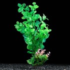 Растение искусственное аквариумное, 6 х 24 см, зелёное - фото 318913169