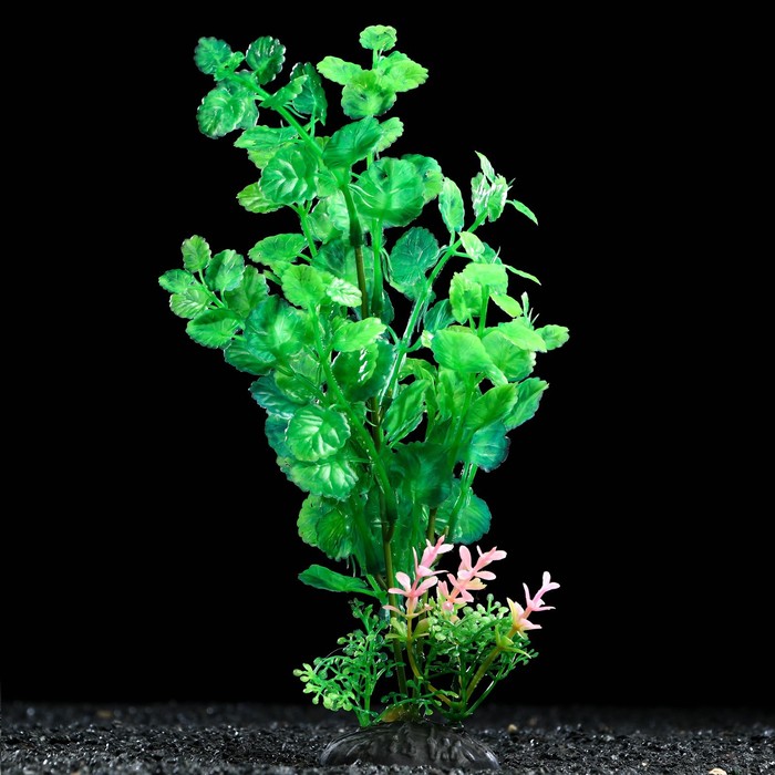 Растение искусственное аквариумное, 6 х 24 см, зелёное - Фото 1