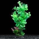 Растение искусственное аквариумное, 6 х 24 см, зелёное - Фото 2