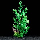 Растение искусственное аквариумное, 6 х 24 см, зелёное - фото 9784680