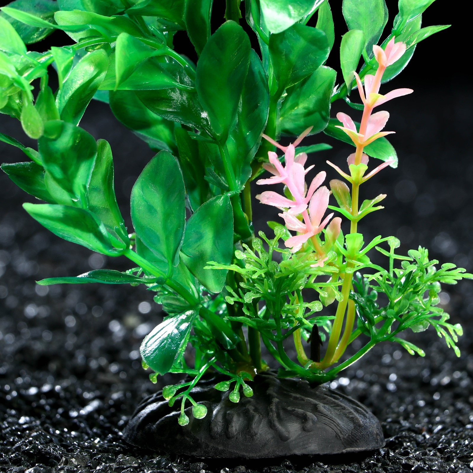 Цветок аква. Растение искусственное аквариумное, 20 х 14 см пижон Аква. Аква растения фото. Аква цветок фото.