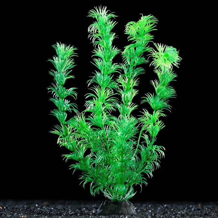 Растение искусственное аквариумное, 4 х 20 см, зелёное - Фото 1