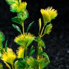 Растение искусственное аквариумное, 4 х 20 см, желто-зелёное - Фото 2