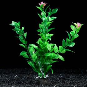 Растение искусственное аквариумное, 4 х 20 см, зелёный