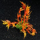 Растение искусственное аквариумное, 22 см, оранжевое - Фото 2