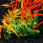 Растение искусственное аквариумное, 22 см, оранжевое - Фото 3