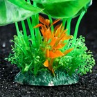 Растение искусственное аквариумное, 22 см, зелёный 7523998