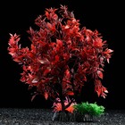 Растение искусственное аквариумное, 25 см, красно-зелёное - Фото 2